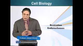 BIO201_Topic079