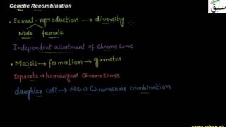 Genetic Recombination