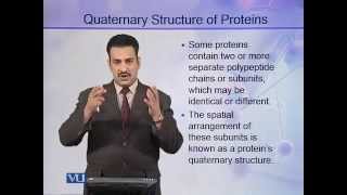 BIO302_Topic027