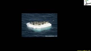 Global Warming