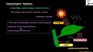 Chemotrophic Nutrition