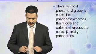 BIO302_Topic038