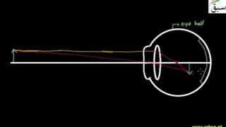 Human Eye