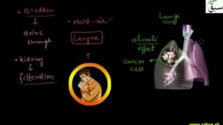 Bad Effects of Smoking
