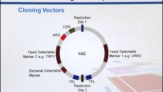 BIF733_Topic044