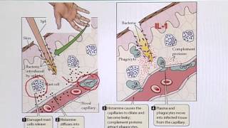 BIO201_Topic120