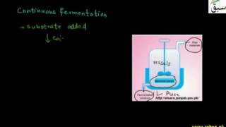 Fermenter
