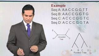 BIF731_Topic045
