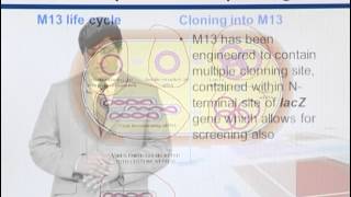 BIF733_Topic043