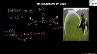 Manufacture of Urea