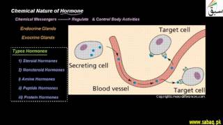 Chemical Nature of Hormone