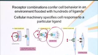 BIO201_Topic100
