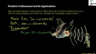 Problem 2-Ultrasound and its Applications