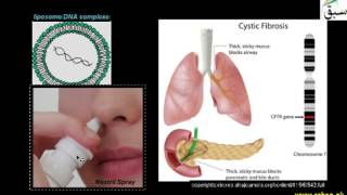 Gene Therapy In-Vivo Method