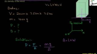 Problem on Introduction to Pressure