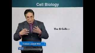 BIO201_Topic124