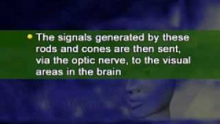 PSY101_Lecture15