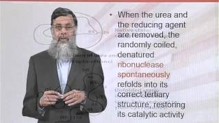 BIO202_Topic074