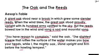 Proverb and Story  Part 5