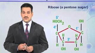 BIO302_Topic012