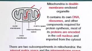 BIO201_Topic154