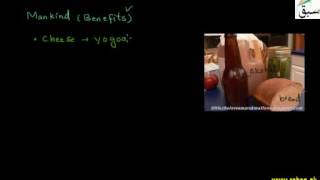 Importance of Fermentation