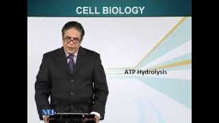 BIO201_Topic028