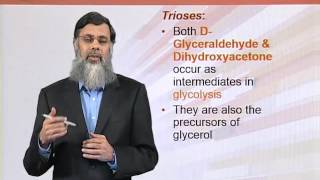 BIO202_Topic012