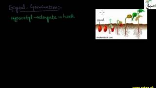 Germination of Seed