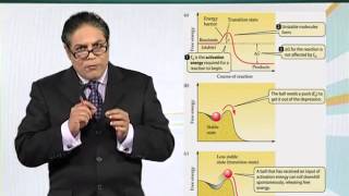 BIO201_Topic029