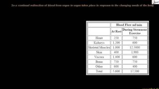 Control of Capillary Beds