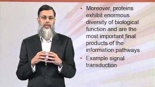BIO202_Topic027