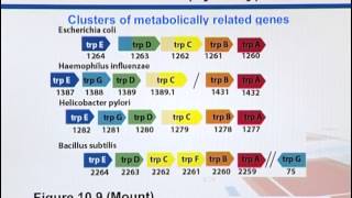 BIF733_Topic039