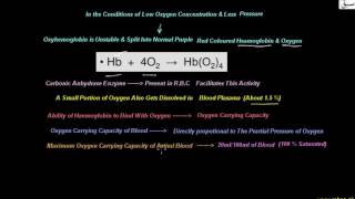 Transport of Oxygen
