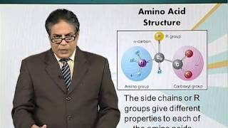 BIO201_Topic004