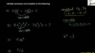 Problem 1: Introducing Variable & Constant