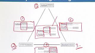 BIF732_Topic108