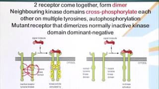 BIO201_Topic110