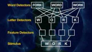 PSY504_Lecture21