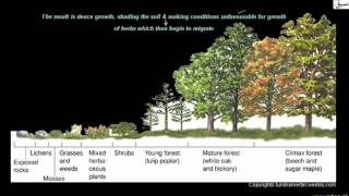 More on Xerosere