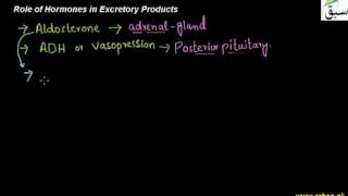 Role of hormone in excretory products