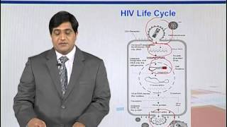 BIF733_Topic010