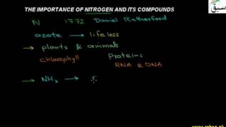 The Importance of Nitrogen and its Compounds