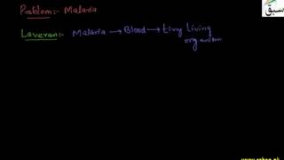Study of Malaria