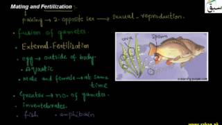 Mating and Fertilization