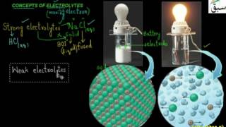 Concepts of Electrolytes