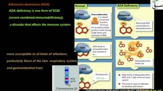 Gene Therapy (Ex-Vivo)