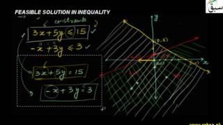 More on Feasible Solution in Inequality