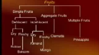 ENG101_Lecture39