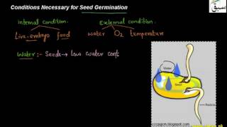 Conditions Necessary for Seed Germination